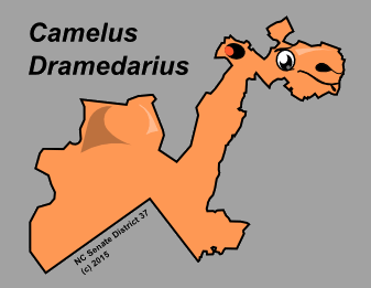 Camelus Dramedarius